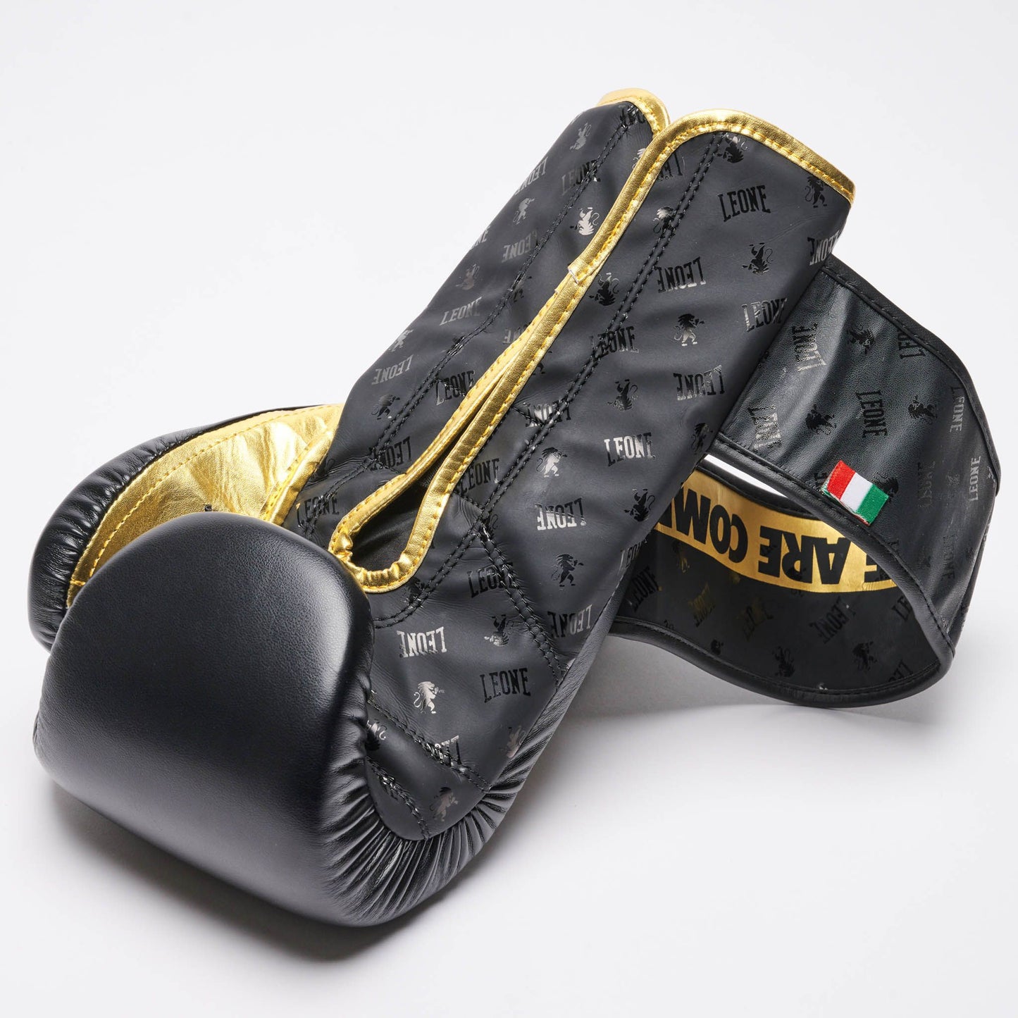 Guantes de boxeo Leone DNA negros (K2)