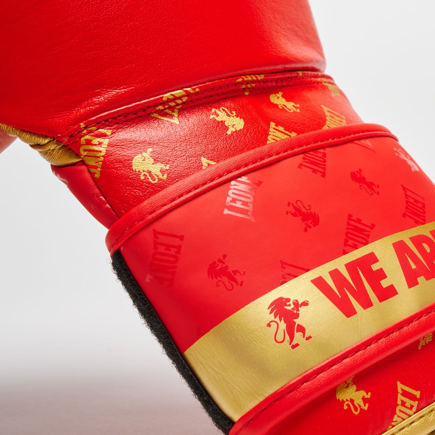 Guantes de boxeo Leone DNA rojo