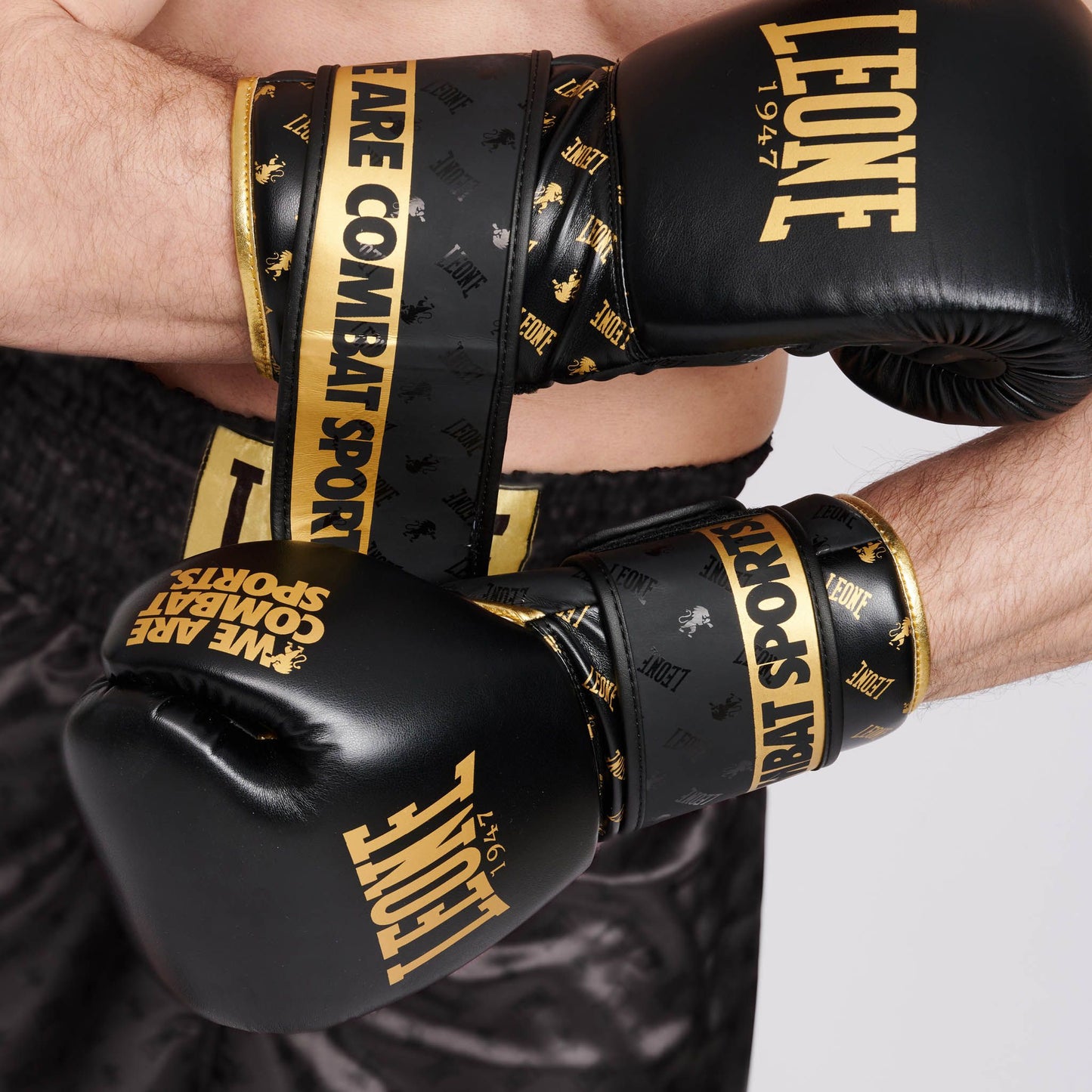 Guantes de boxeo Leone DNA negros (K2)